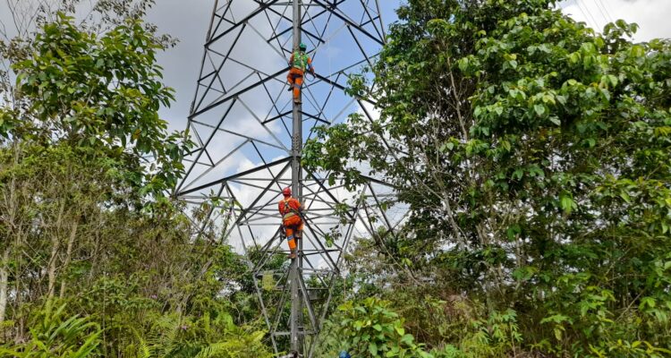 Tim elit PDKB PLN saat beraksi melakukan melakukan perbaikan jaringan listrik saluran udara tegangan tinggi.