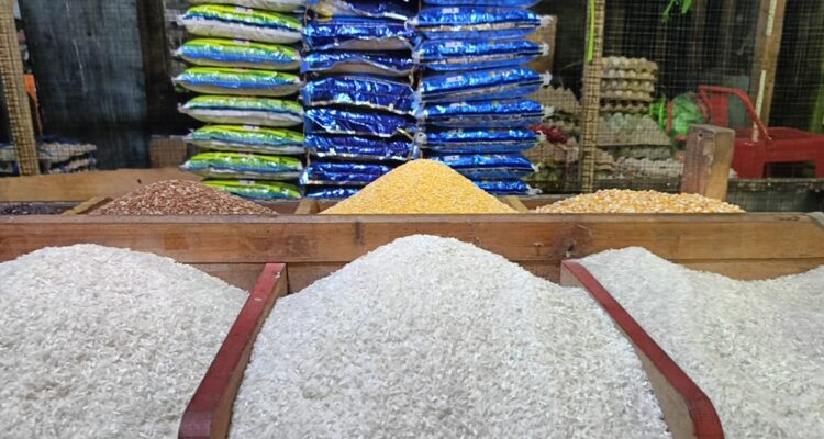 gejolak harga beras