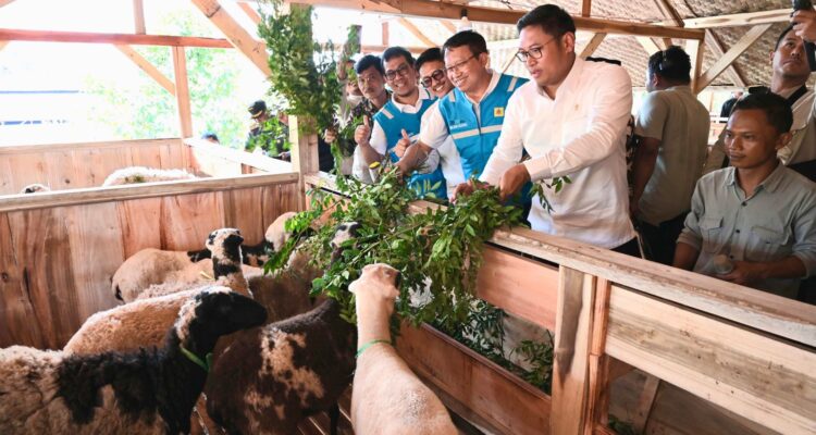 PT PLN bersama Kementerian Pertanian meresmikan program pengembangan ekosistem biomassa berbasis ekonomi kerakyatan dan pertanian terpadu.