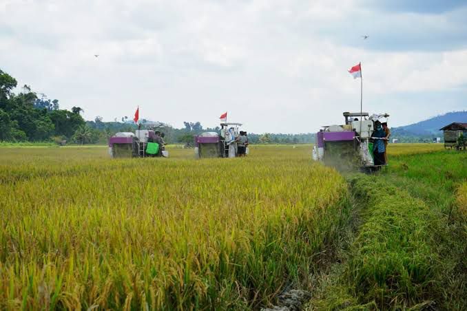 Sejumlah daerah di Berau menjadi andalan dalam sektor pertanian.