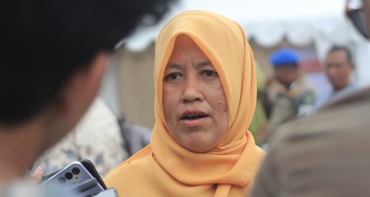 Kepala DPMPTSP PPU Nurlaila.