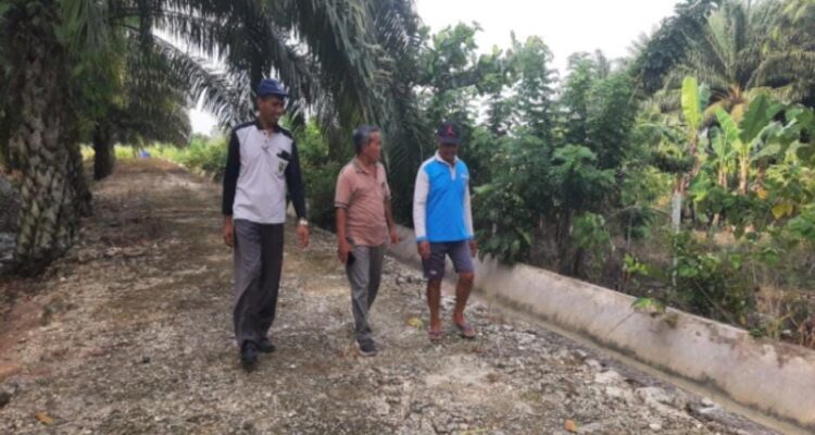 Jalan usaha tani yang sangat membutuhkan perbaikan dari Pemkab Berau.