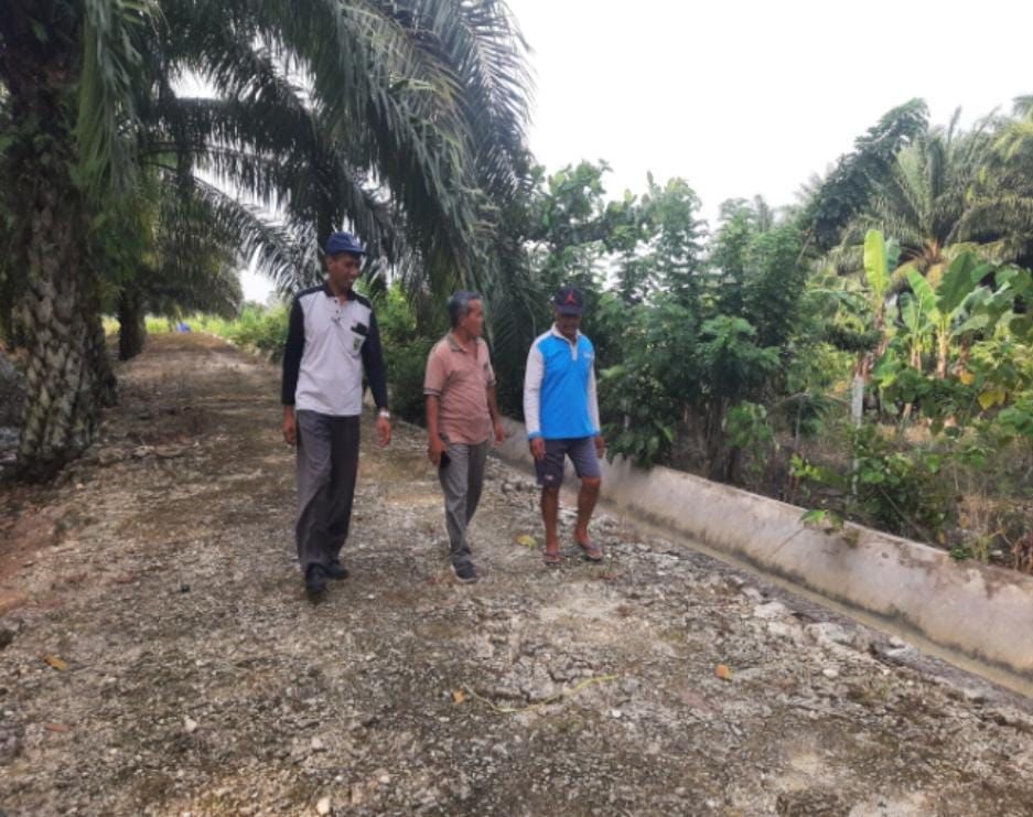 Jalan usaha tani yang sangat membutuhkan perbaikan dari Pemkab Berau.