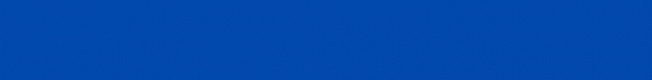 banner 728x250