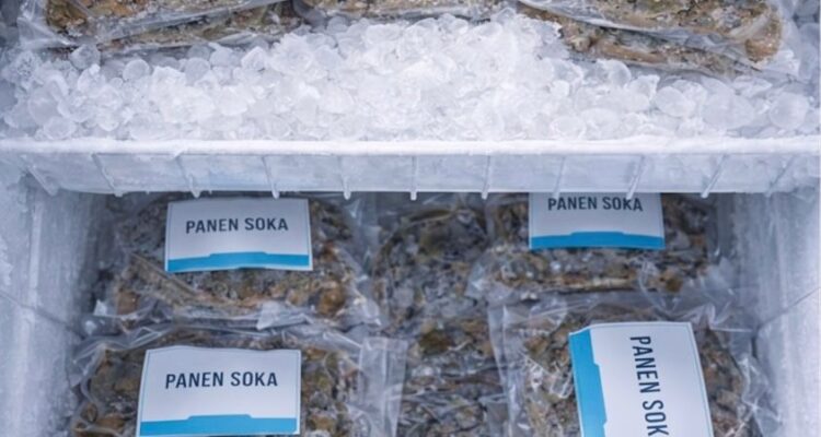 WhatsApp Image 2026-04-05 at 20.49.49