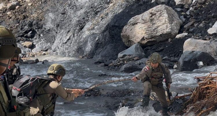 WhatsApp Image 2026-04-11 at 19.33.08